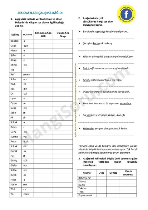 ses olayları test 6 sınıf pdf